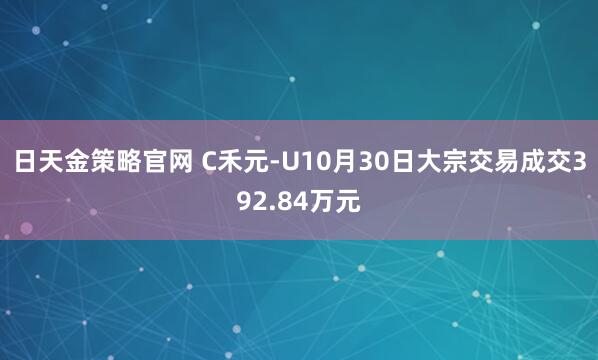 日天金策略官网 C禾元-U10月30日大宗交易成交392.84万元