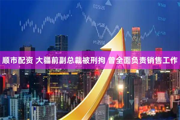 顺市配资 大疆前副总裁被刑拘 曾全面负责销售工作